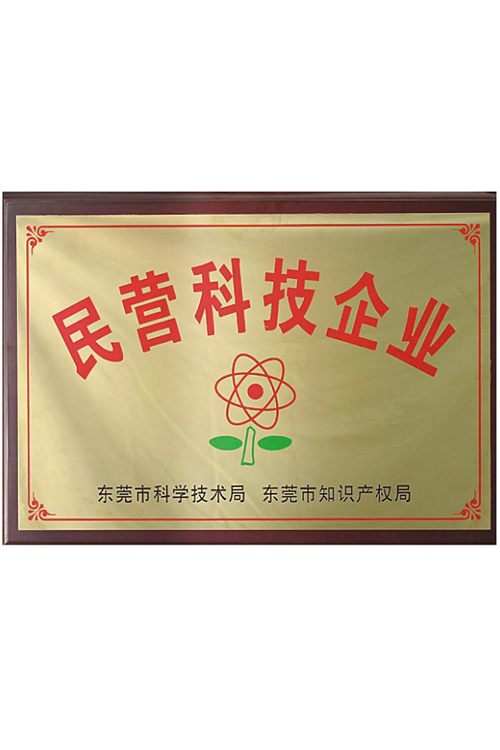 民营科技企业