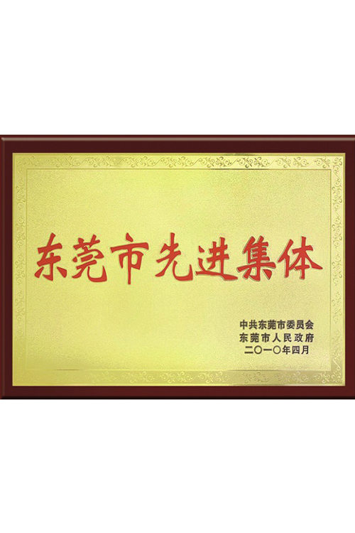 东莞市先进集体